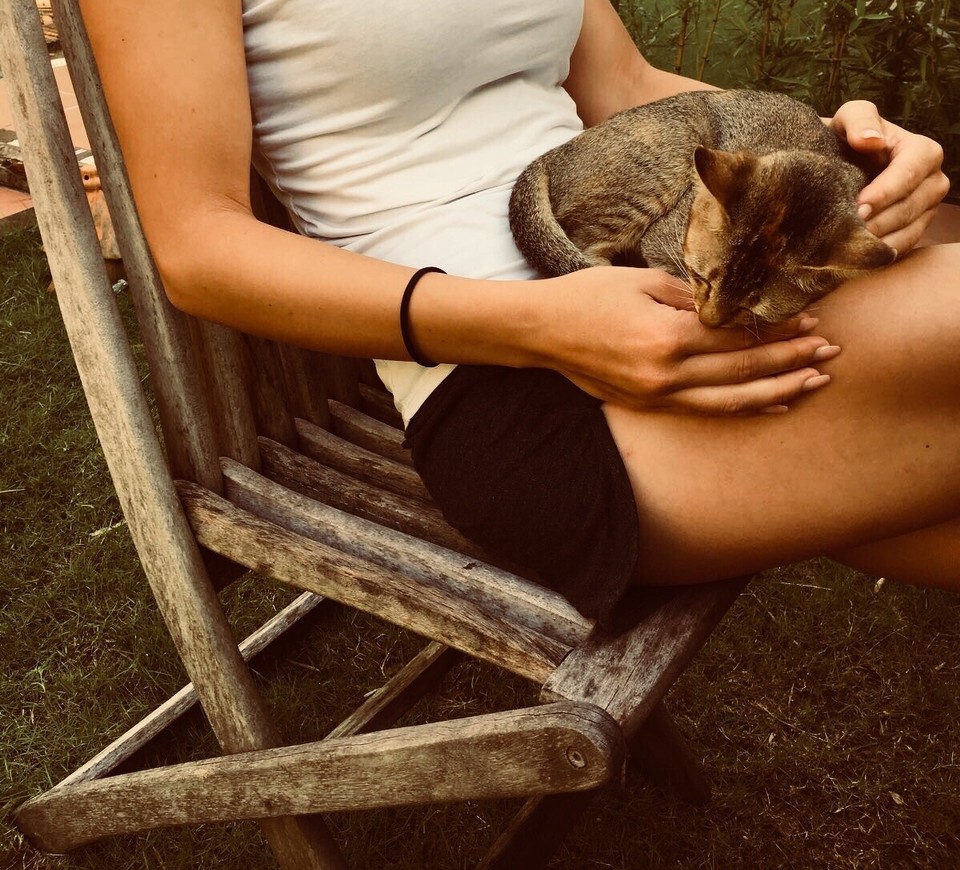 Vietnam - H. Phú Quốc - ☀️🐱