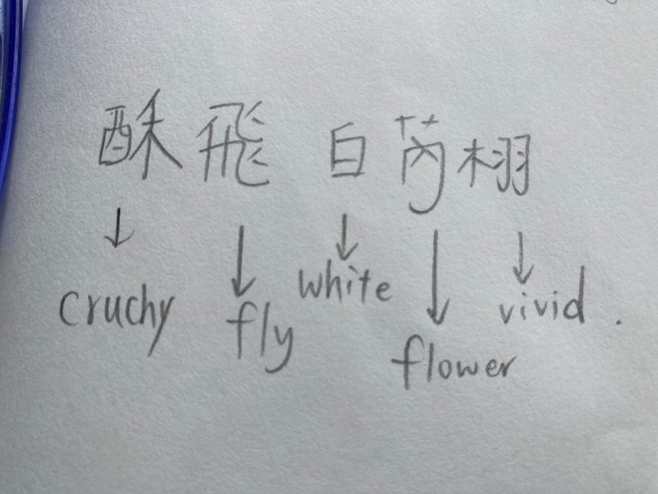 Vietnam - Da Lat - Coni schreibt mir meinen chinesischen Namen 😃