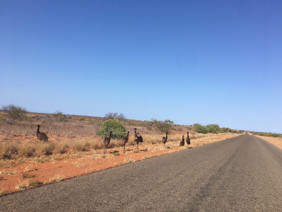 Australien - Macleod - 