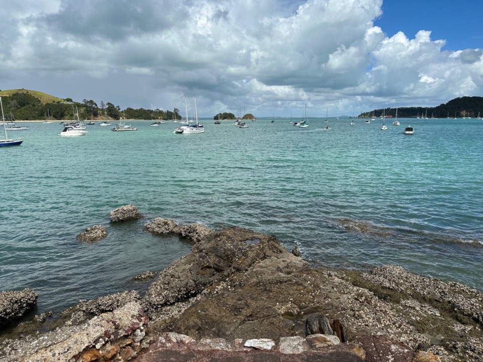 Neuseeland - Waiheke Island - die tollen fast menschenleeren Buchten 