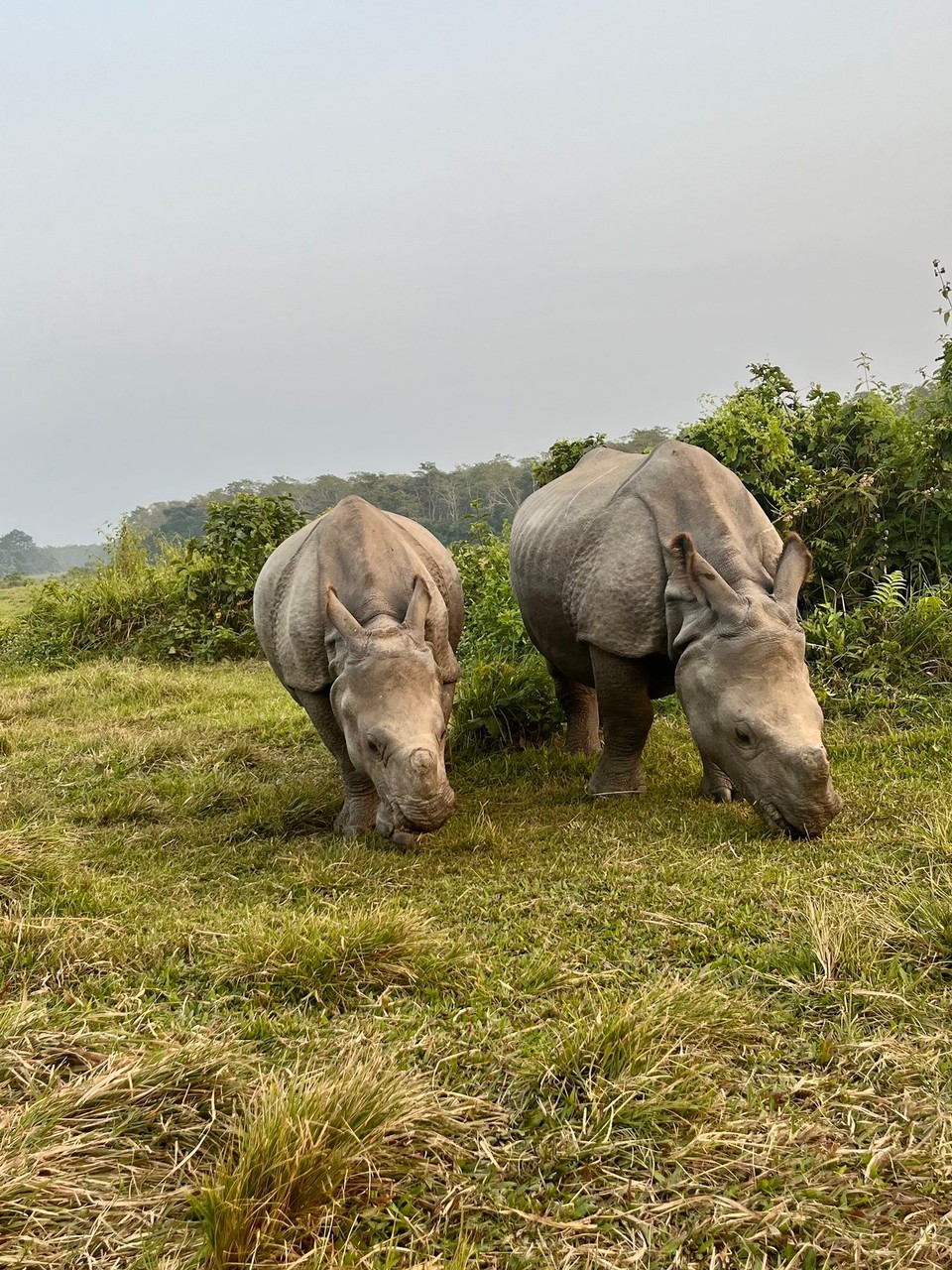 Nepal -  - 