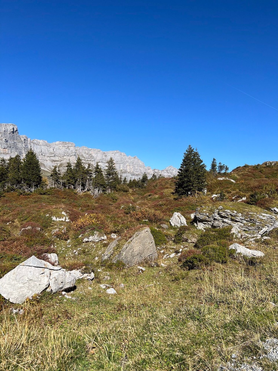 Schweiz - Urnerboden - 