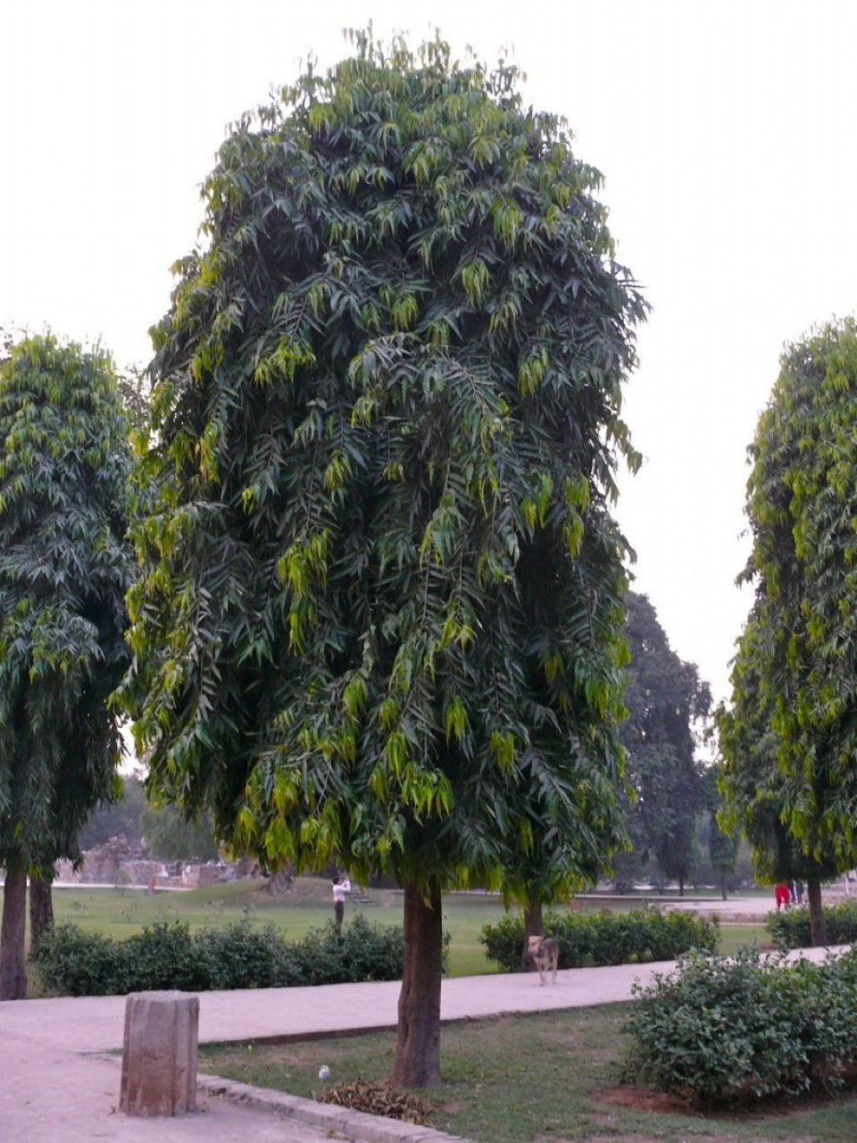 India - New Delhi - 