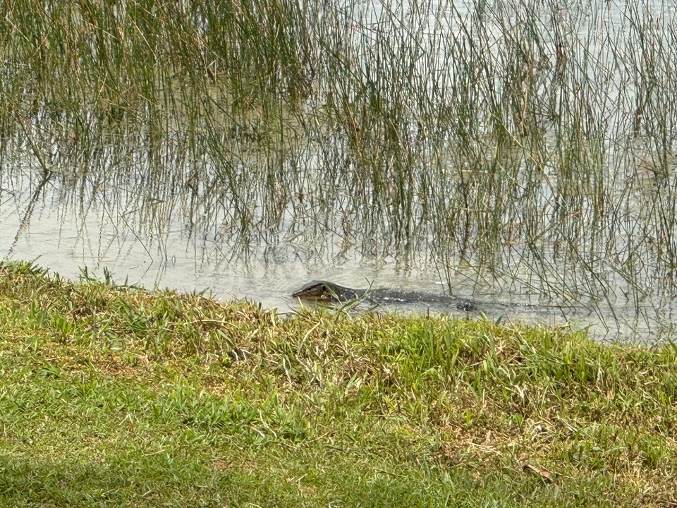 Singapur - Singapur - 