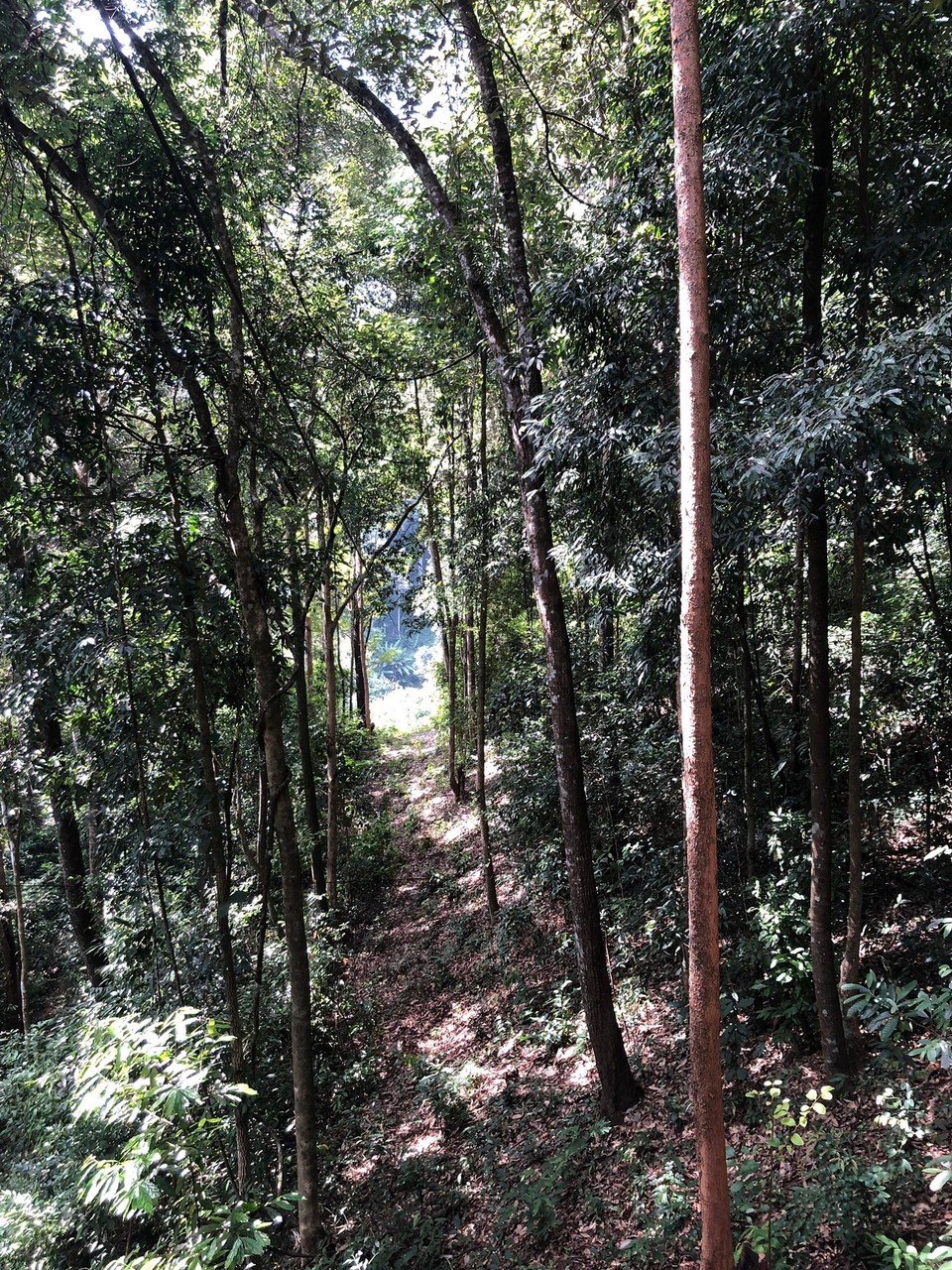Thailand - Pai - 