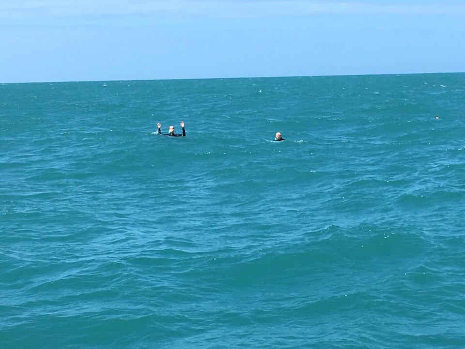 Neuseeland - Akaroa - 