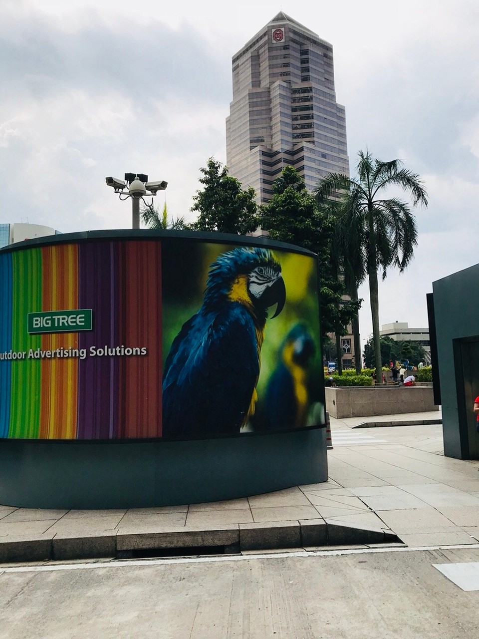 Malaysia - Kuala Lumpur - Fake polly