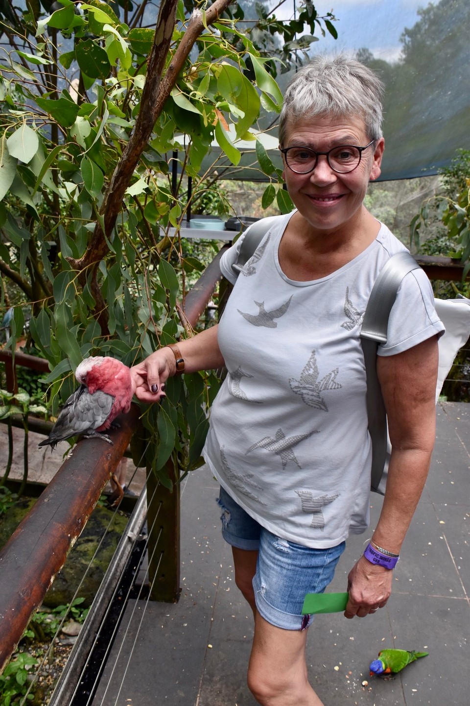 Australien - Kuranda - Überall Gezwitscher und Gepiepe. 
Die kleinen brauchen viel Zuneigung, mich hat er in den Finger gebissen.