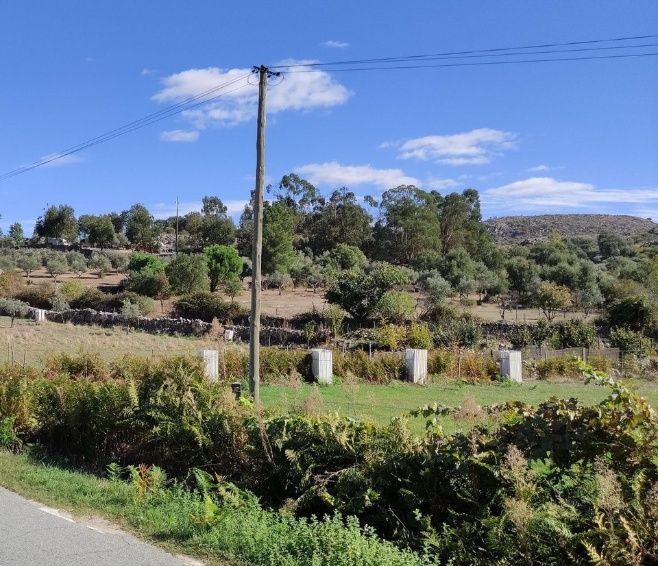 Portugal - Portalegre - Die Umgebung des Campingplatzes