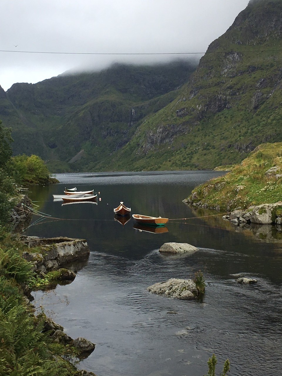  - Lofoten - 