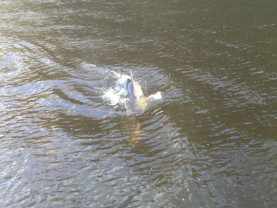 Neuseeland - Milford Sound - 