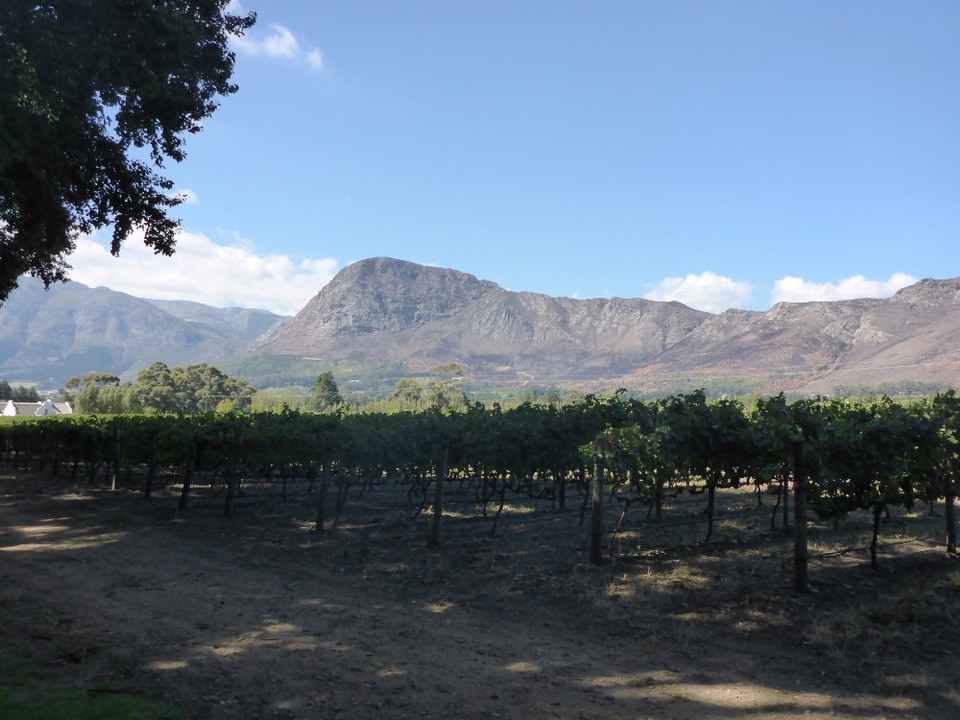 Südafrika - Stellenbosch - 
