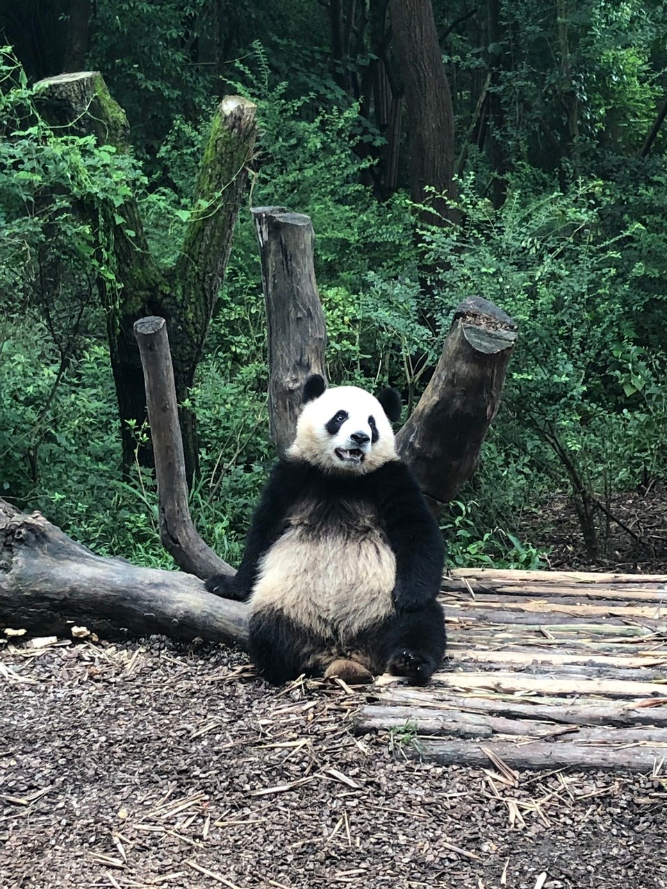 China - Chengdu - 