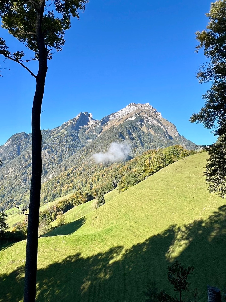 Schweiz - Alpnach Dorf - 