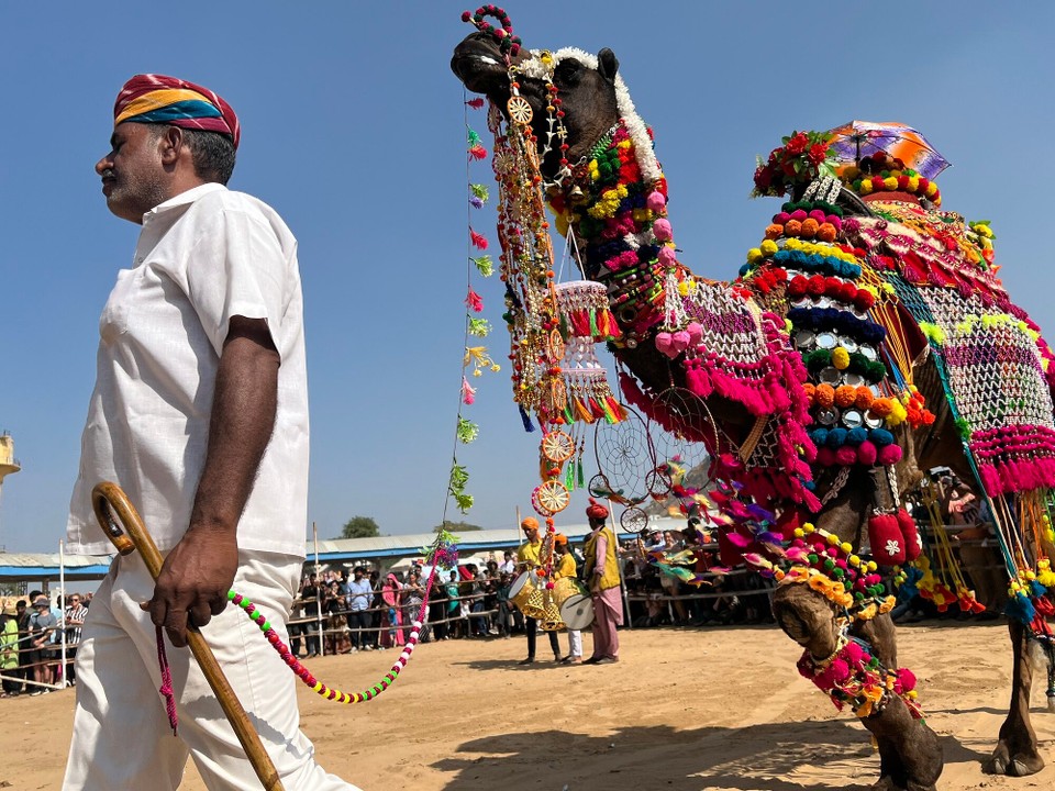 Indien - Pushkar - Bis sie dann aussehen wie Weihnachtsbäume.