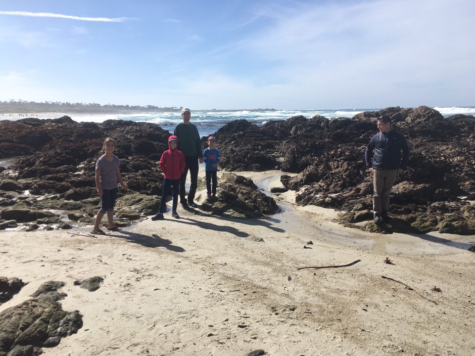 Vereinigte Staaten - Monterey - Zwischen den Steinen finden wir Anemonen, Krebse, Seesterne, Schnecken und Muscheln.