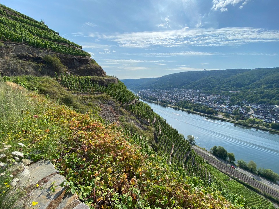 Deutschland - Koblenz - Terrassenmosel