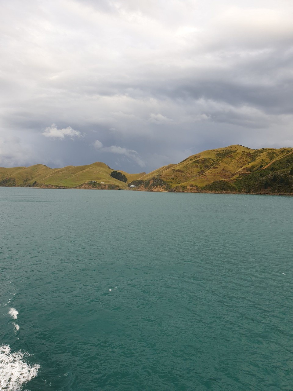 Neuseeland - Kaikoura - 