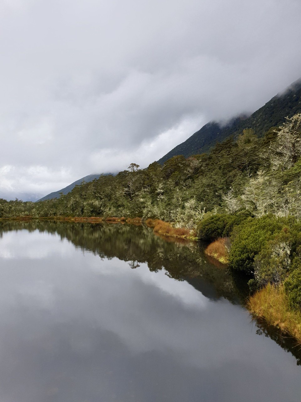 Neuseeland - Kaikoura - 