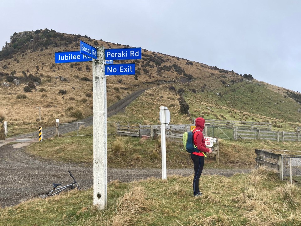 Neuseeland - Little River - 