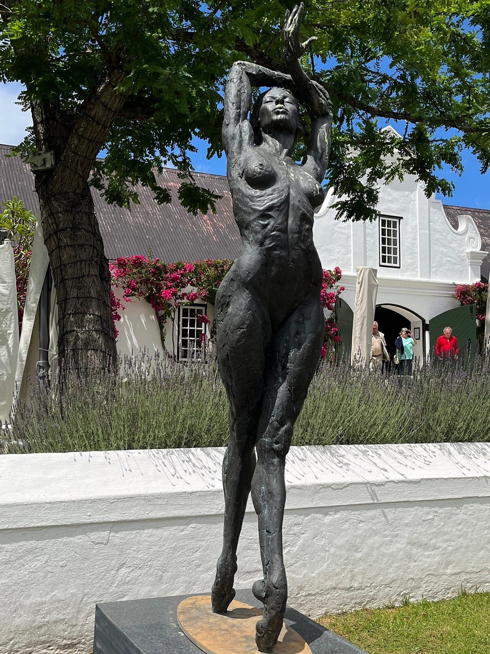 Südafrika - Stellenbosch - 