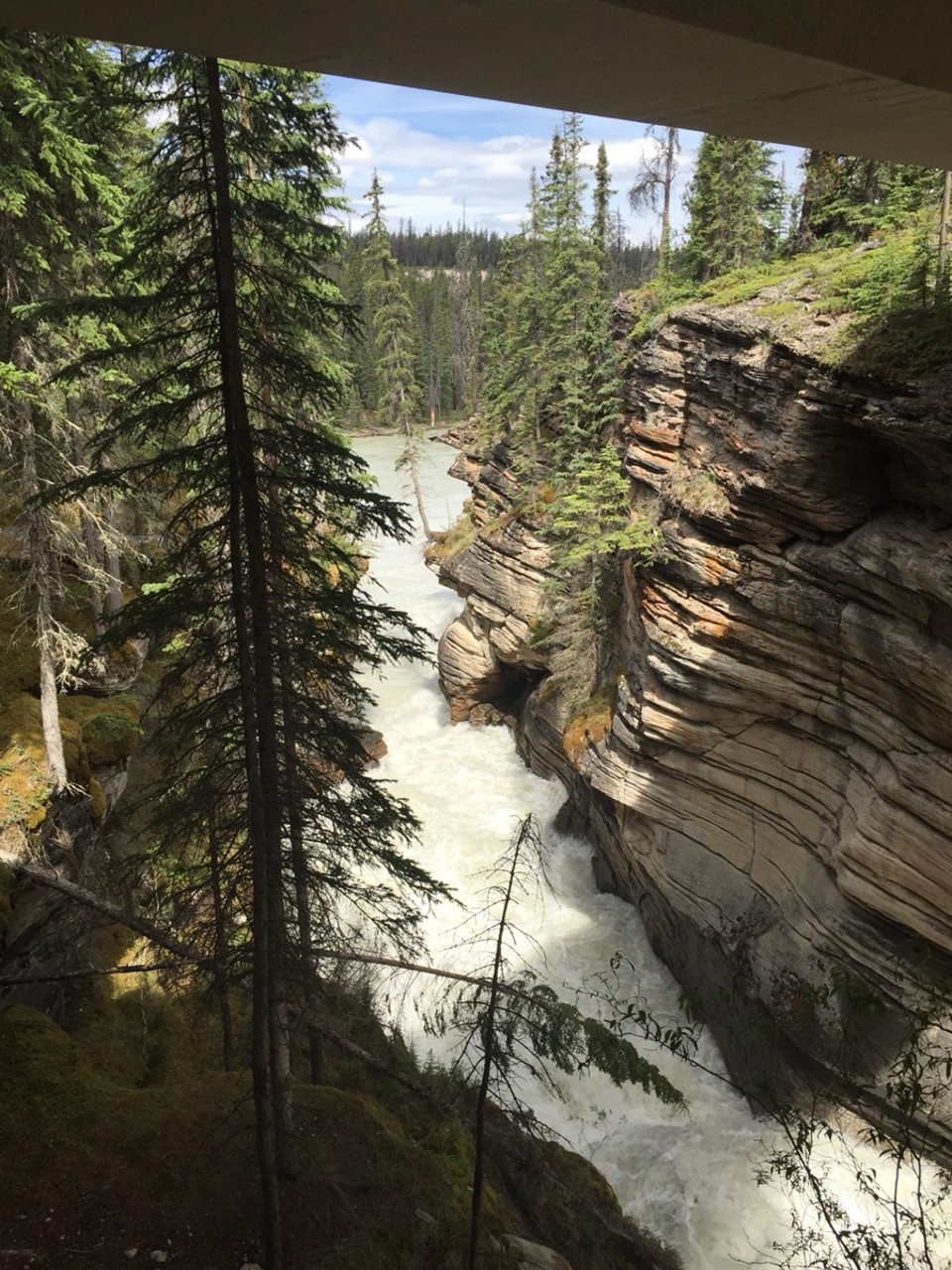 Canada - Jasper to Athabasca Glacier - Athabasca Falls