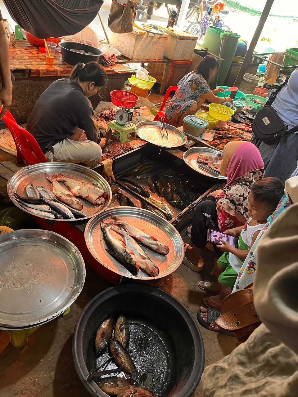 Cambodia - Phnom Penh - We were going to be using this fish later 