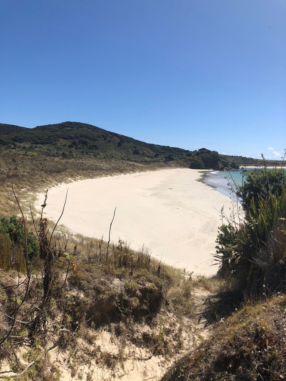 Neuseeland - Karikari Peninsula - 