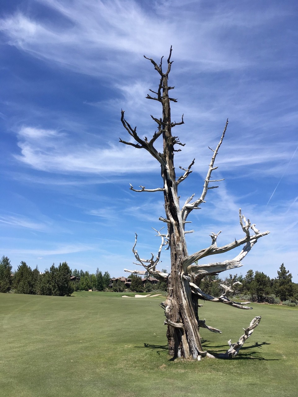 United States - Bend - 