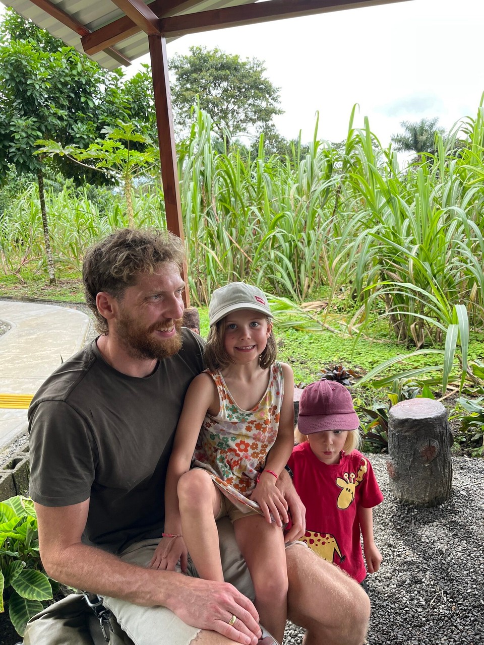 Costa Rica - La Fortuna - Zuckerrohr