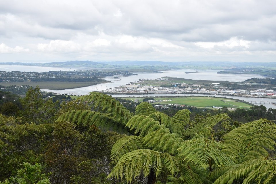 Neuseeland - Waipu - 
