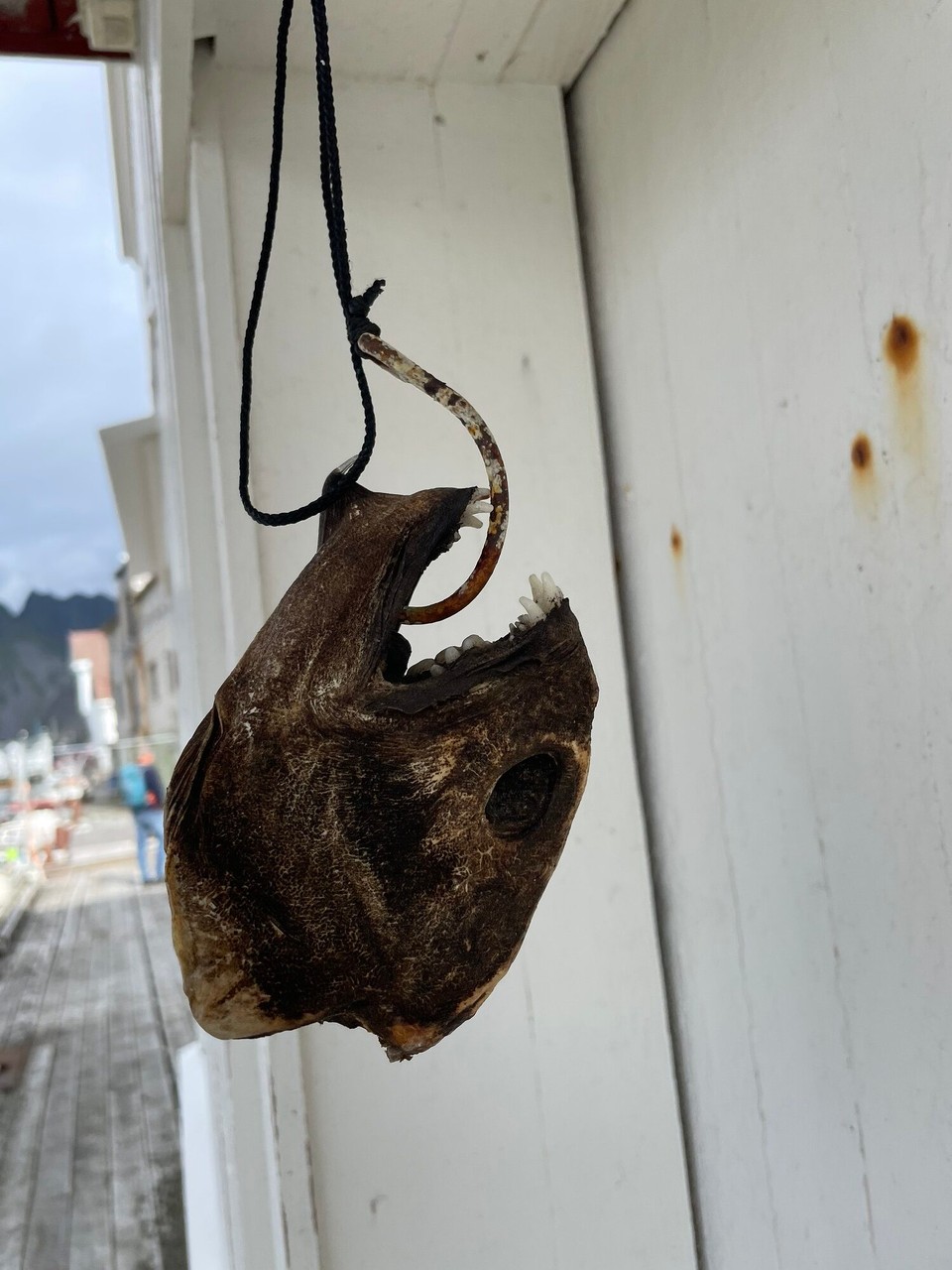 Norwegen - Bøstad - Den haben sie wohl vergessen 