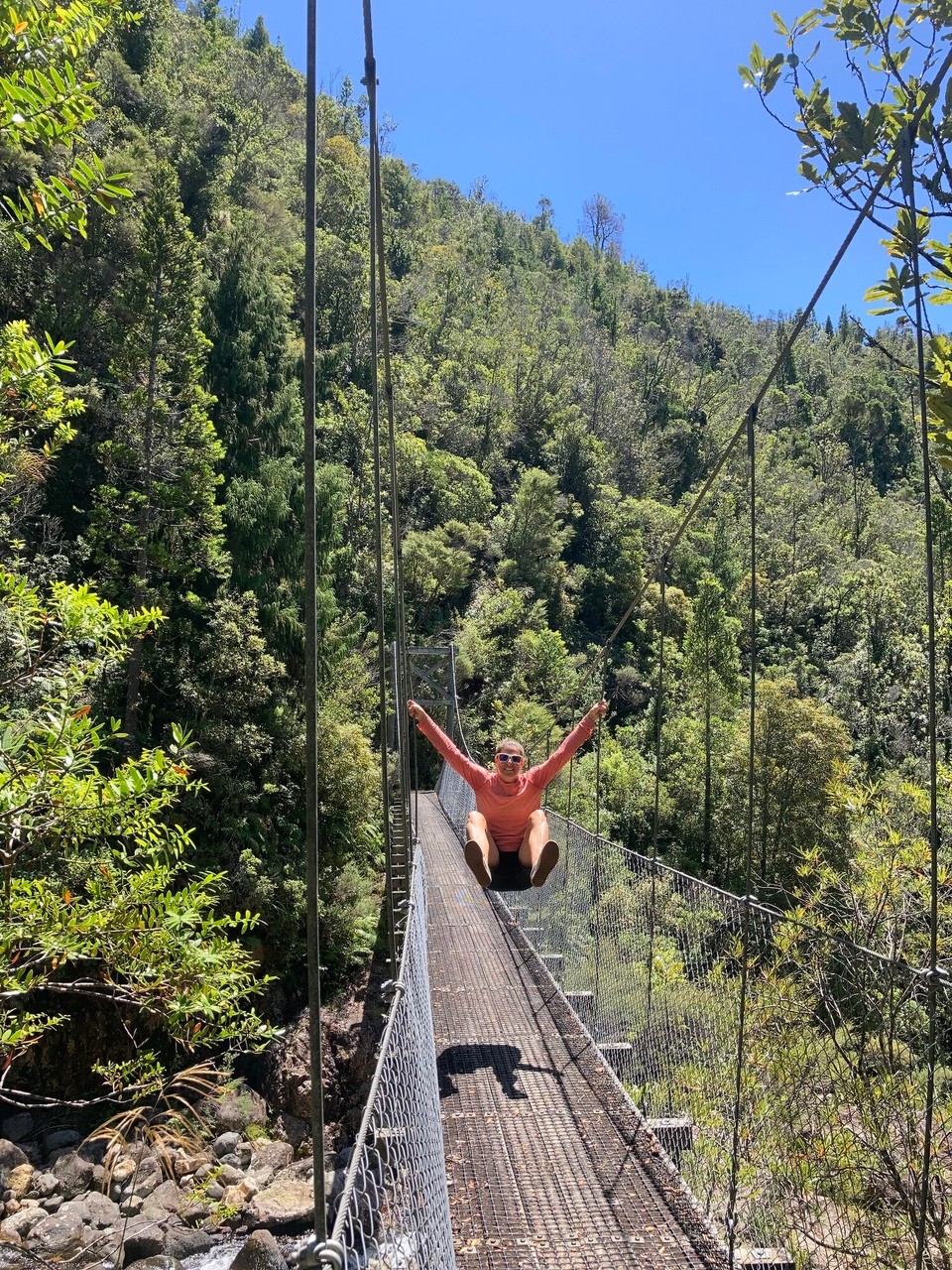 Neuseeland - Coromandel Forest Park - 