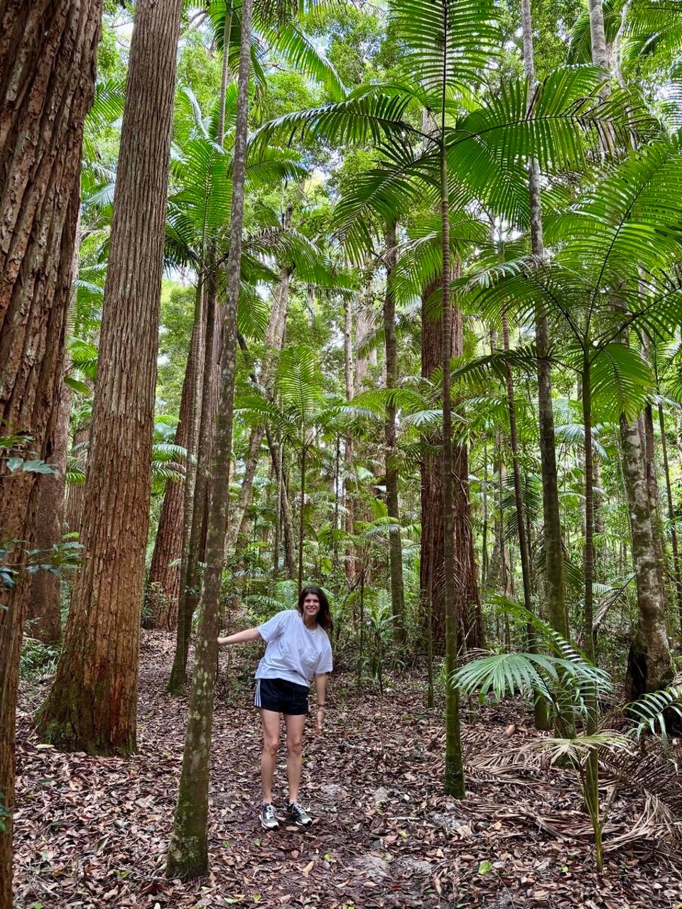Australien - Noosaville - Wär störchlet denn do dur de Regewald?