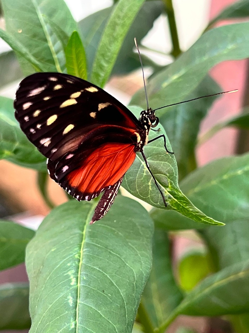 Dänemark - København K - 