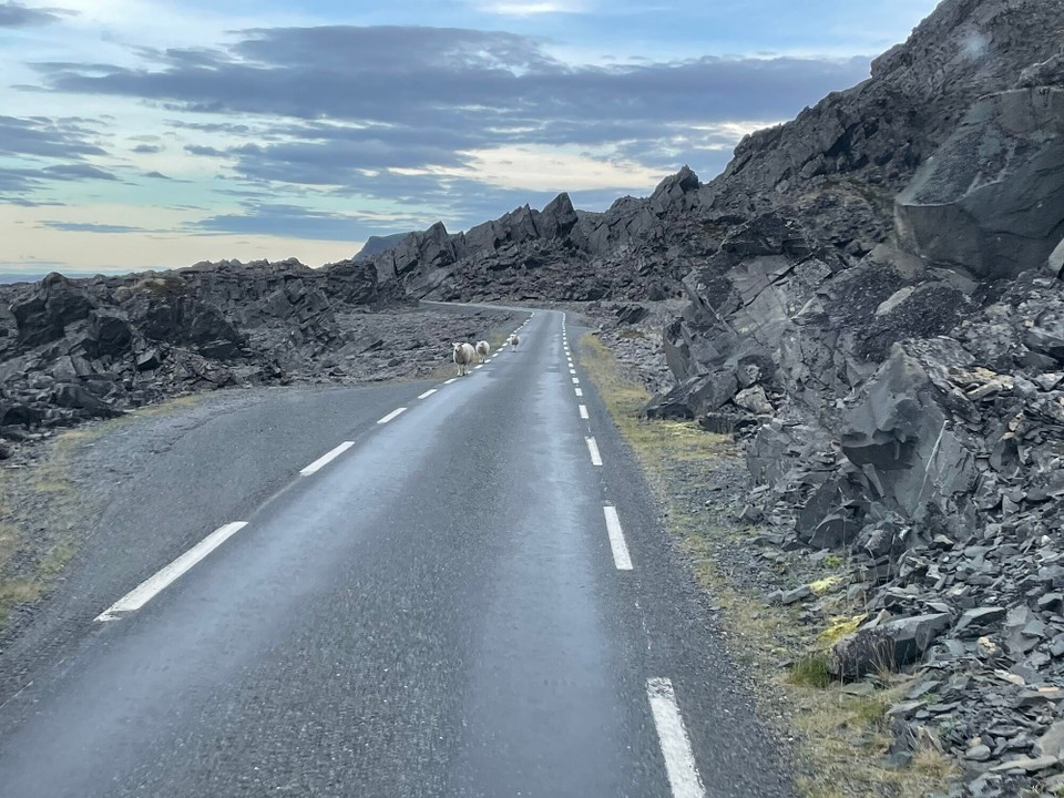 Norwegen - Vestre Jakobselv - …und dann geht’s wieder zurück 