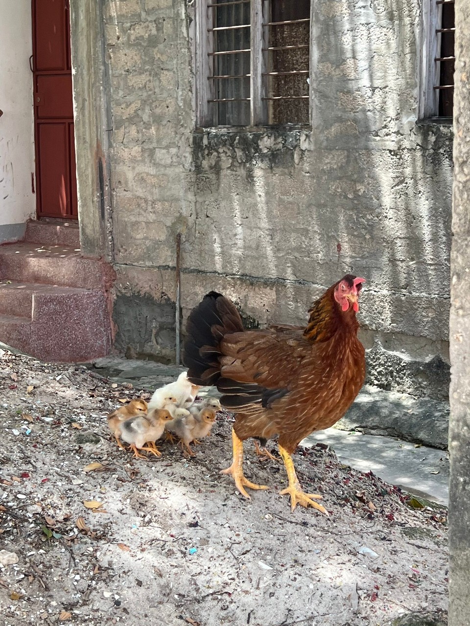 Tansania - Mjini - 