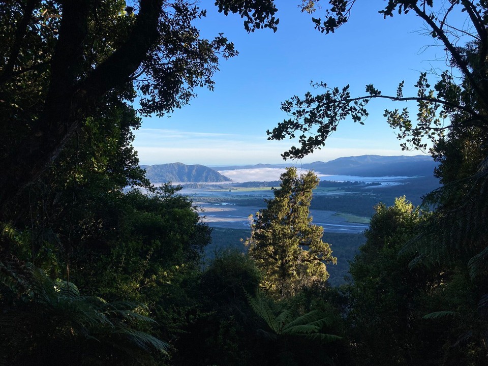 Neuseeland - Westland National Park - 