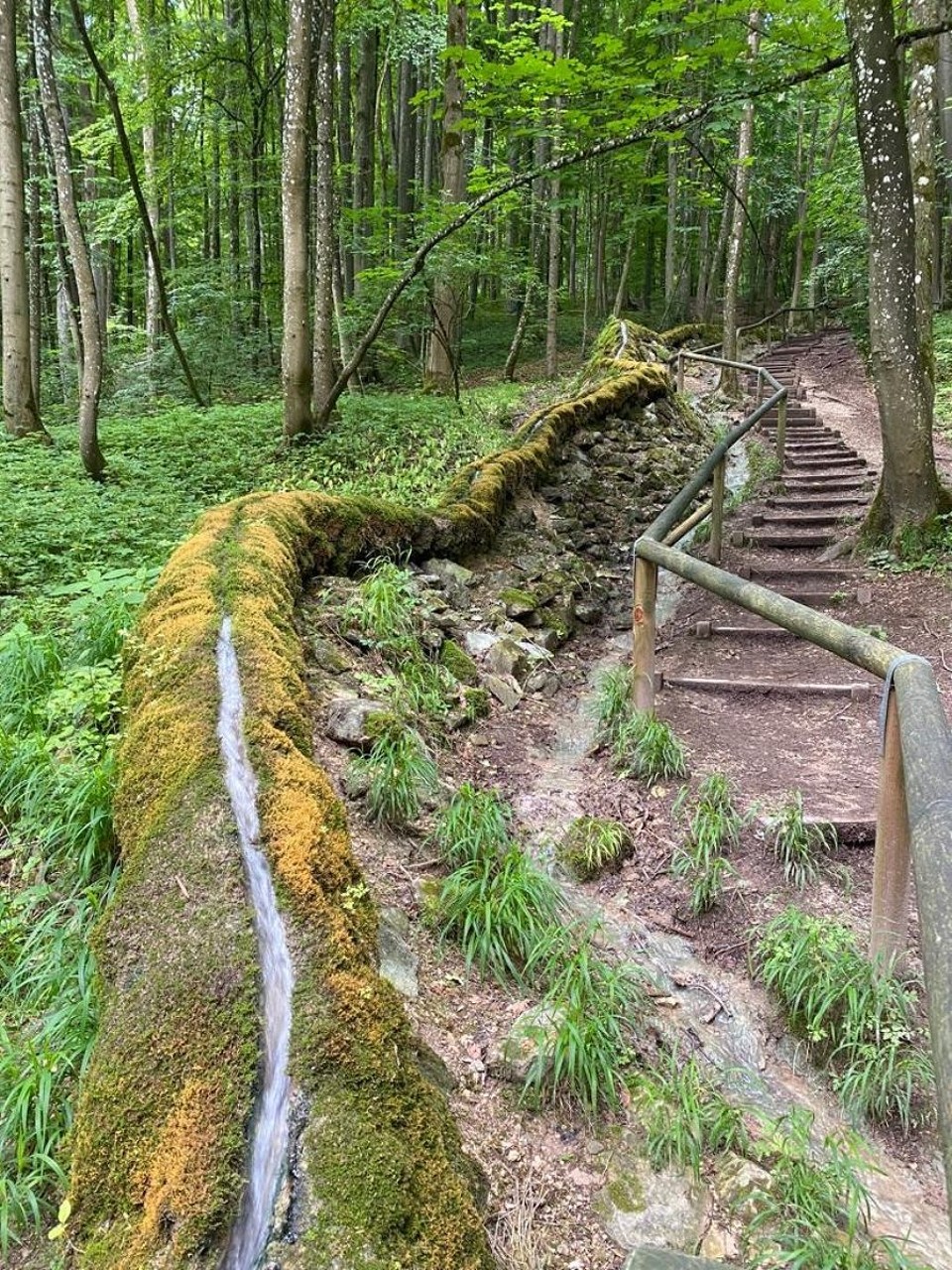 Deutschland - Treuchtlingen - 