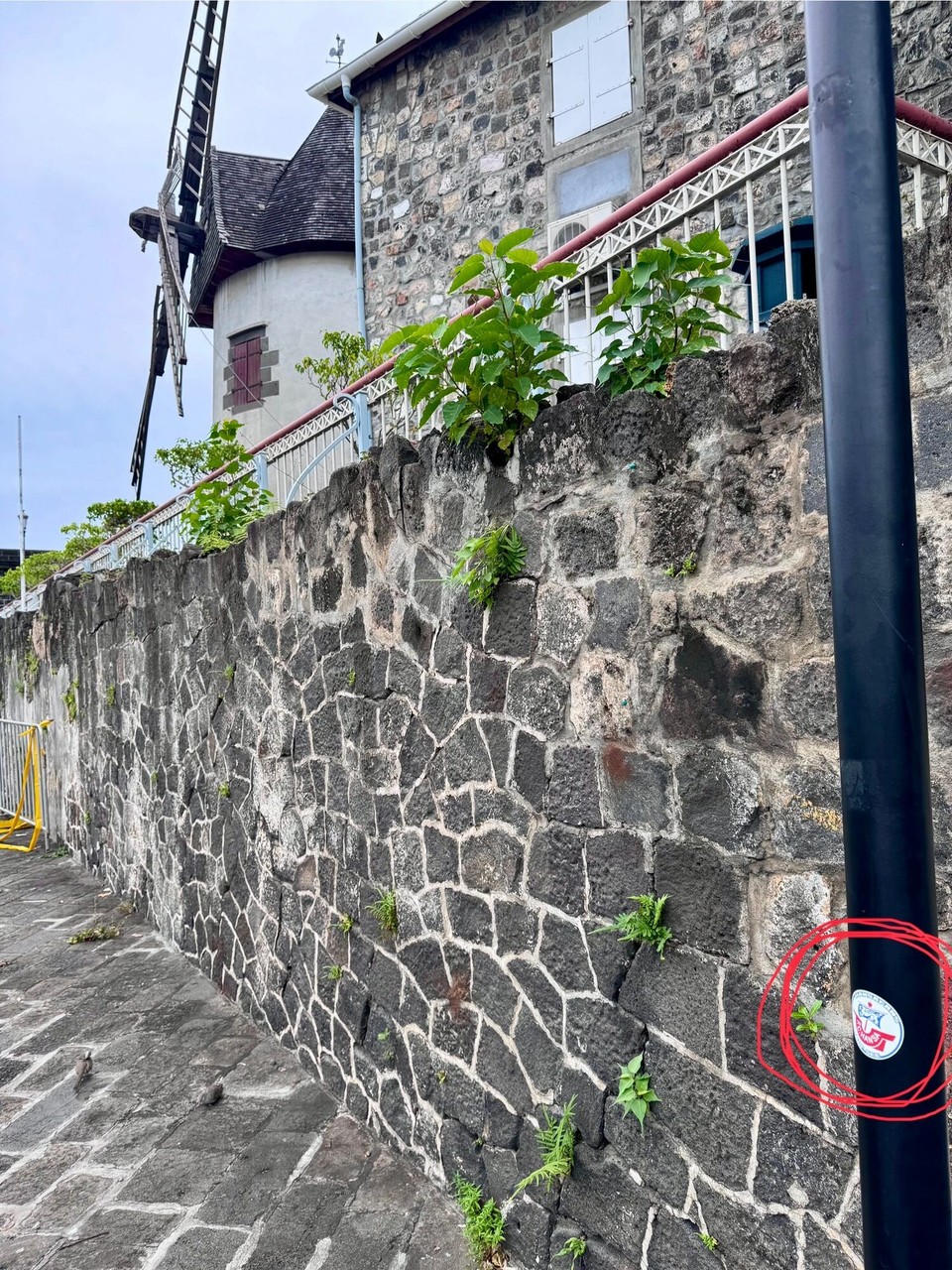 Mauritius -  - Zurück ging es über Port Louis.
Auf der Suche nach einen Parkplatz, fanden wir in der Waterfront einen für uns reservierten!
Die Supporter hatten schon alles geregelt.
