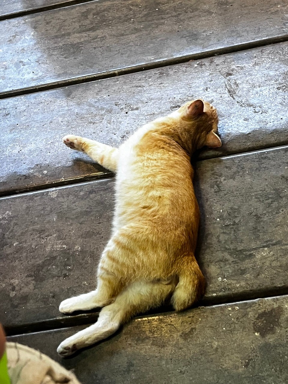 Thailand - Ko Lanta - 