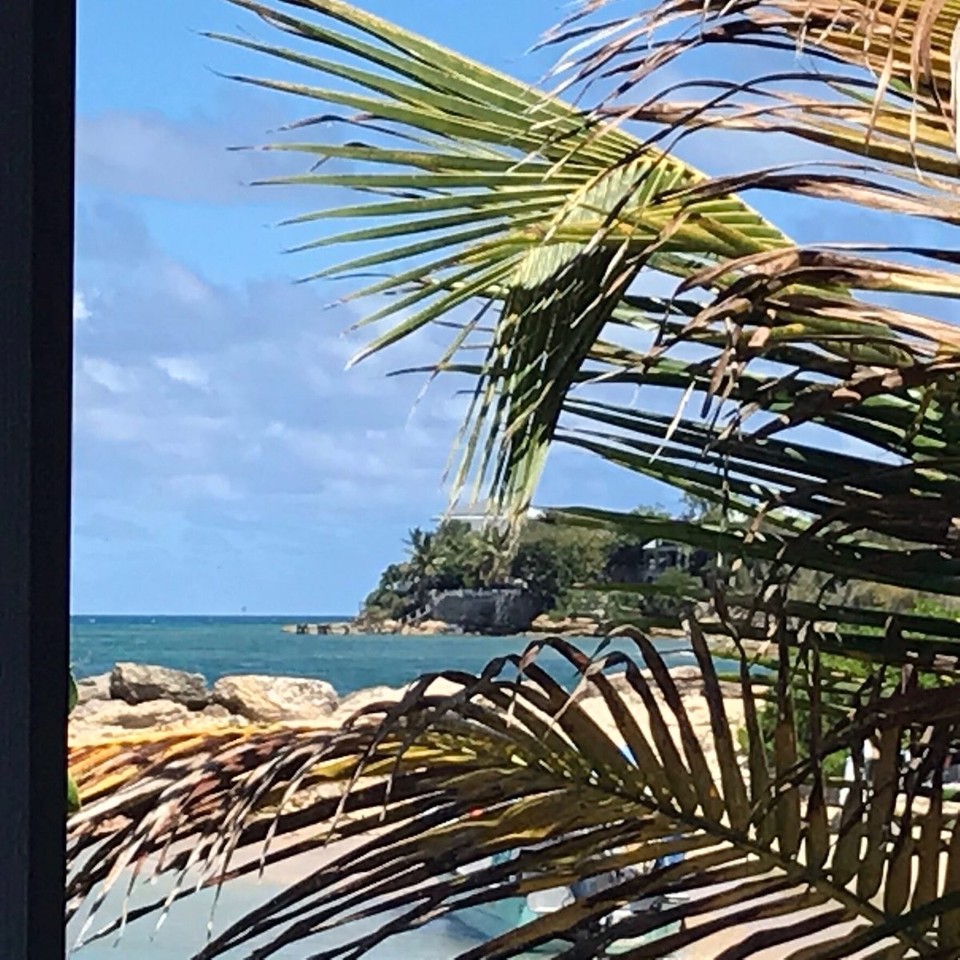 Antigua and Barbuda - Antigua and Barbuda - 