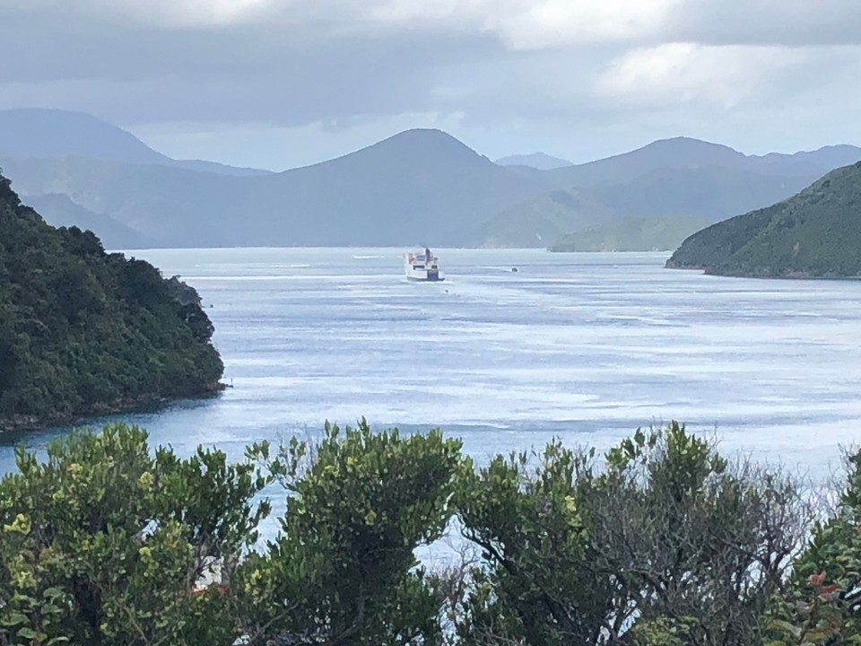 Neuseeland - Picton - 