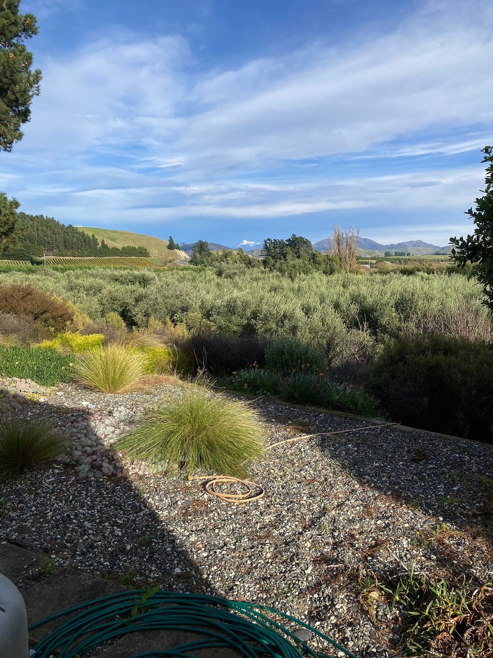 Neuseeland - Picton - Ausblick aus dem Zimmer, fast wie in Österreich 🤪