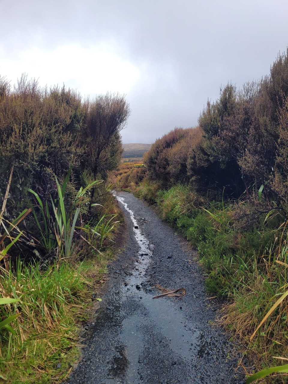 Neuseeland - Tongariro-Nationalpark - 