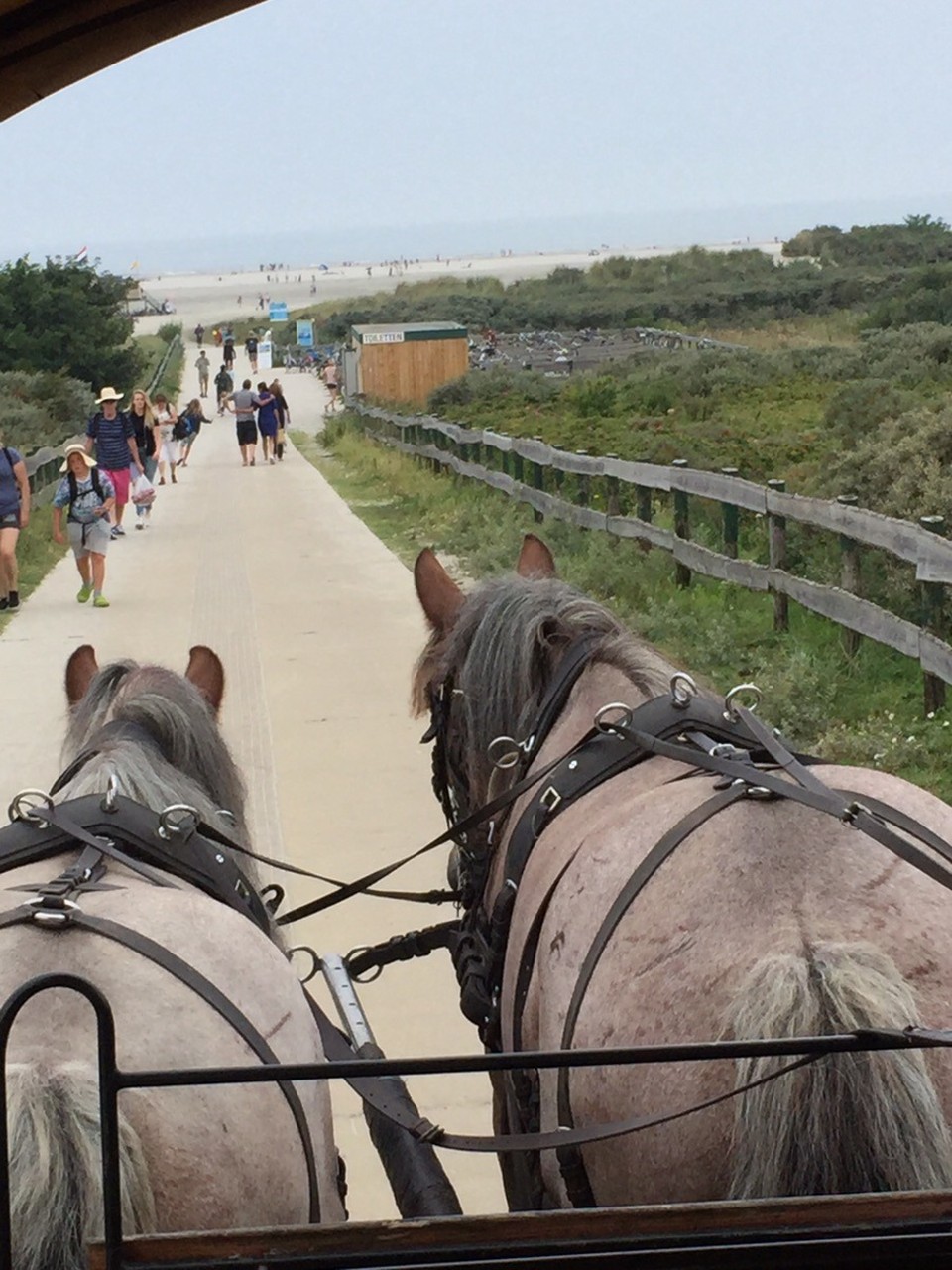Niederlande - Schiermonnikoog - 