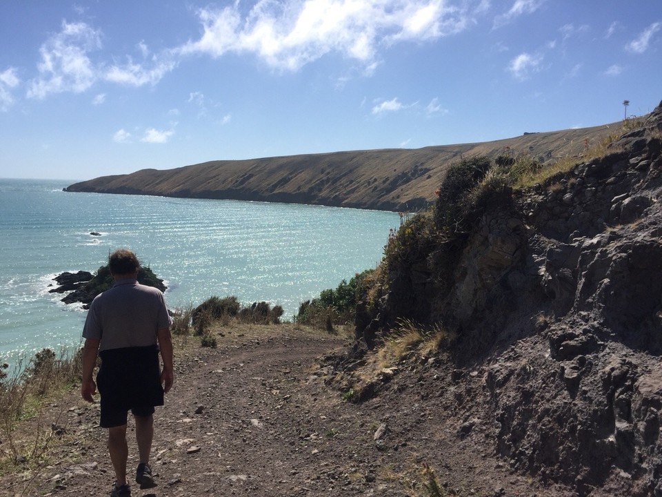 Neuseeland - Akaroa - Küsten Wanderweg