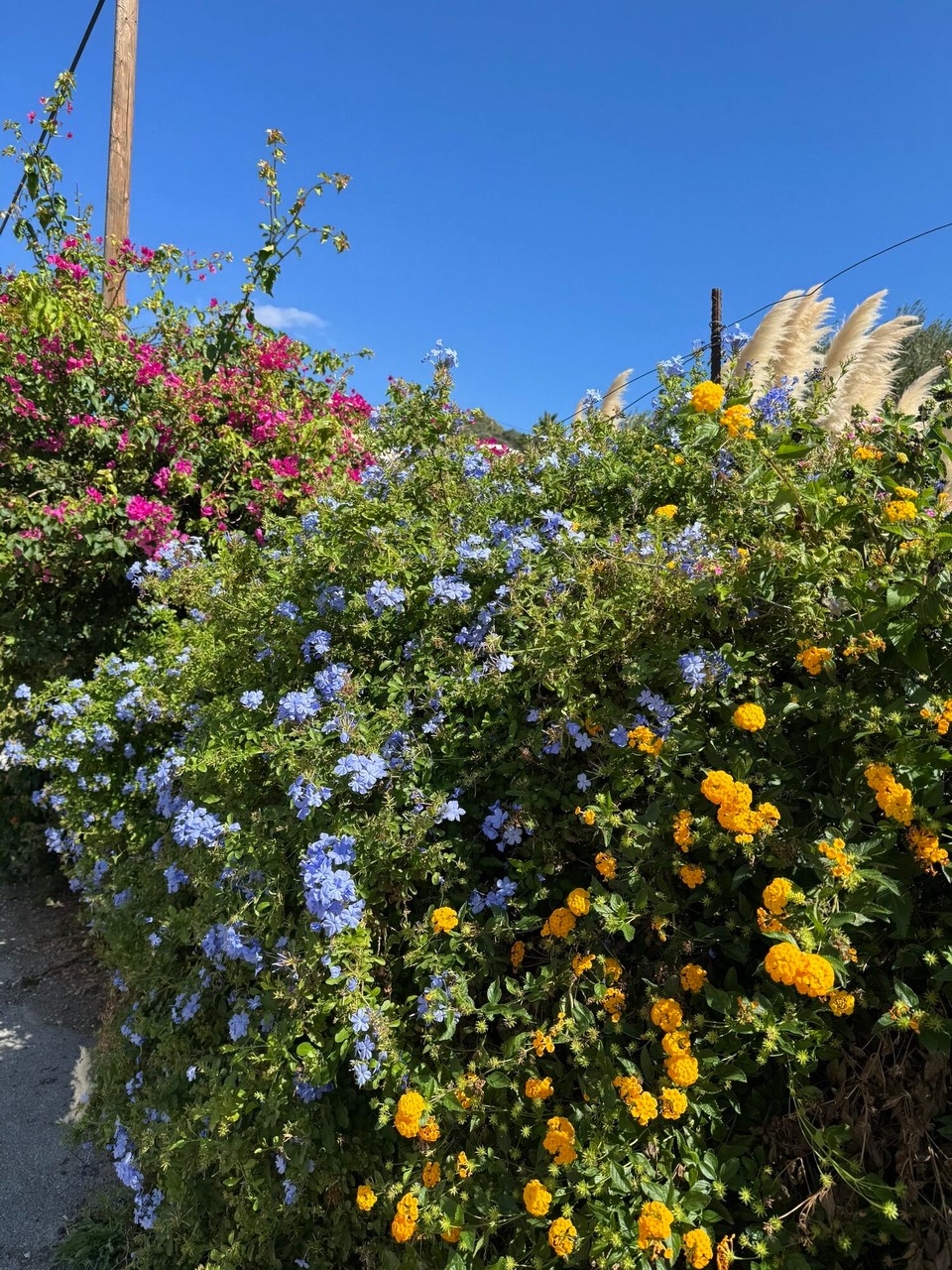 Griechenland - Plakias - 