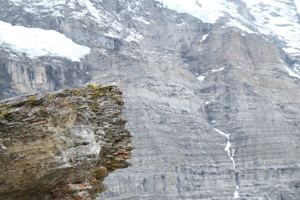 Schweiz - Wengen - 