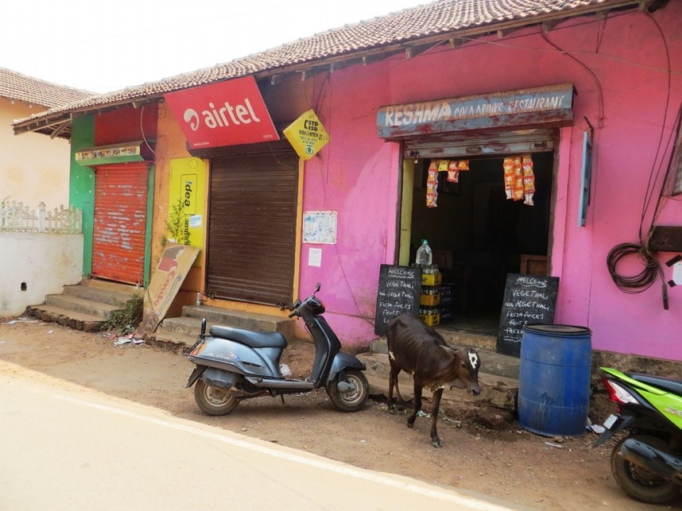 Indien - Agonda - 